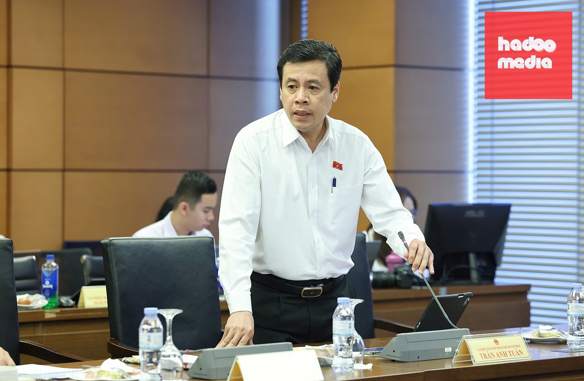 Đại biểu Trần Anh Tuấn (TP.HCM) - Ảnh: QUANG PHÚC