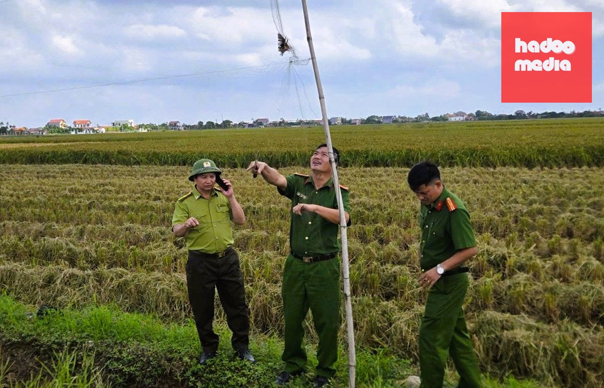 Lực lượng công an và kiểm lâm tỉnh Ninh Bình ra quân xử lý nạn bẫy bắt chim trời - Ảnh: CÔNG AN NINH BÌNH