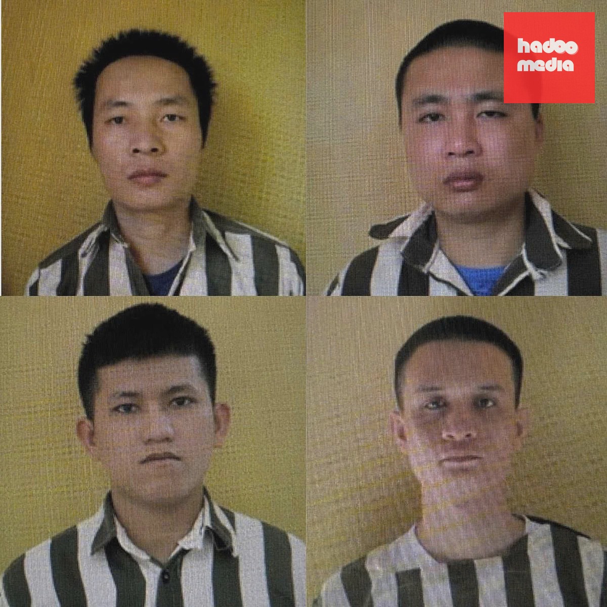 Các phạm nhân Lữ Văn Toàn, Lê Văn Cường (từ trái qua, hàng trên); Hồ Văn Tình, Võ Hoàng Duy (hàng dưới, từ trái qua). Ảnh: Công an Khánh Hòa