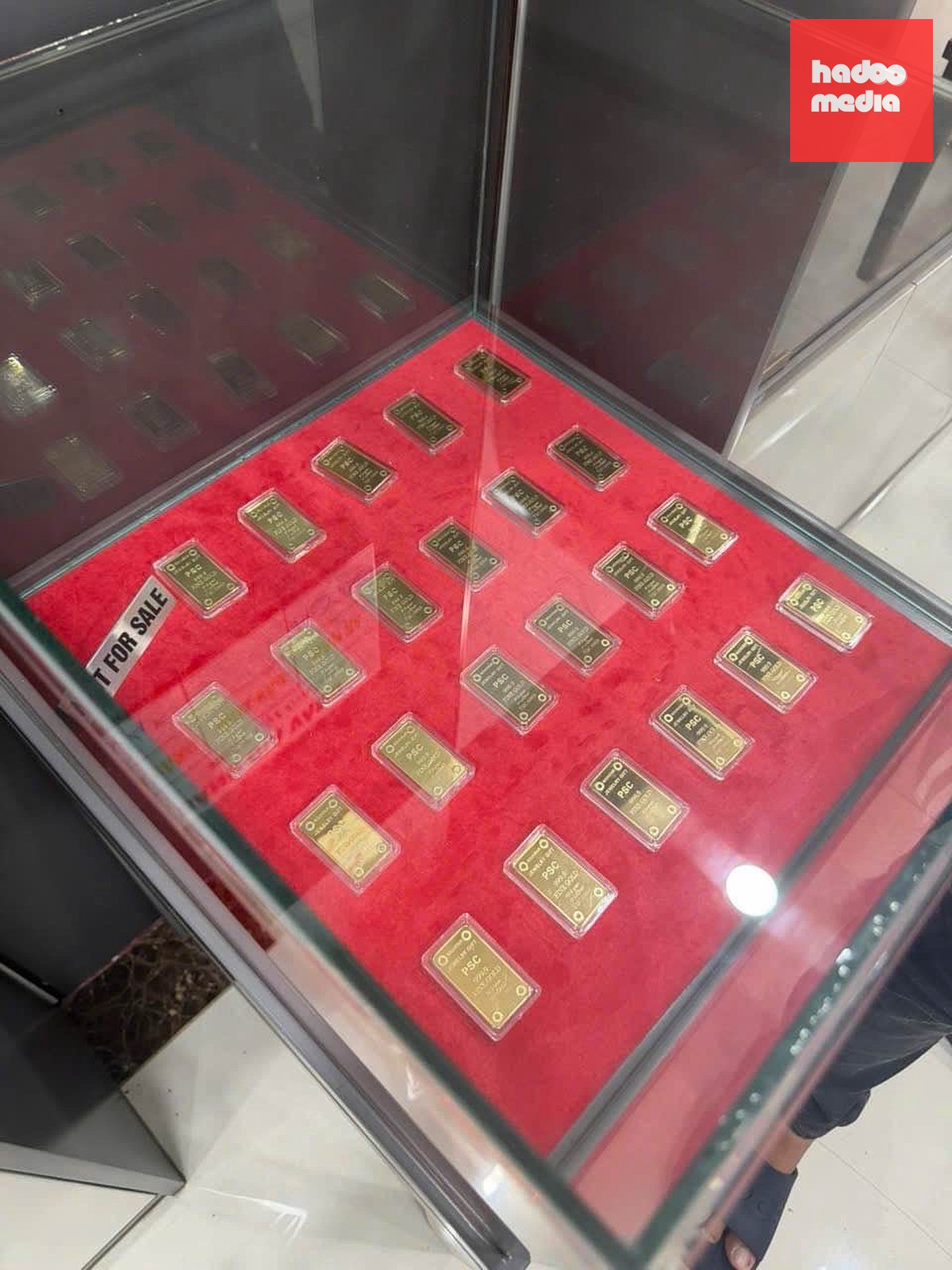 - Ảnh 3.