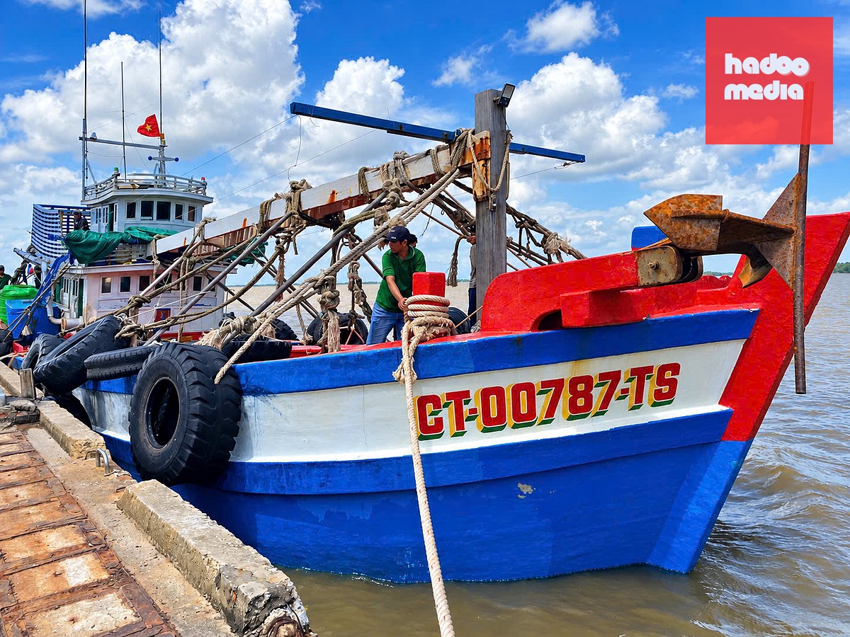 Tàu thu mua hải sản của Cần Thơ tham gia cứu 4 ngư dân - Ảnh: KHẮC TÂM