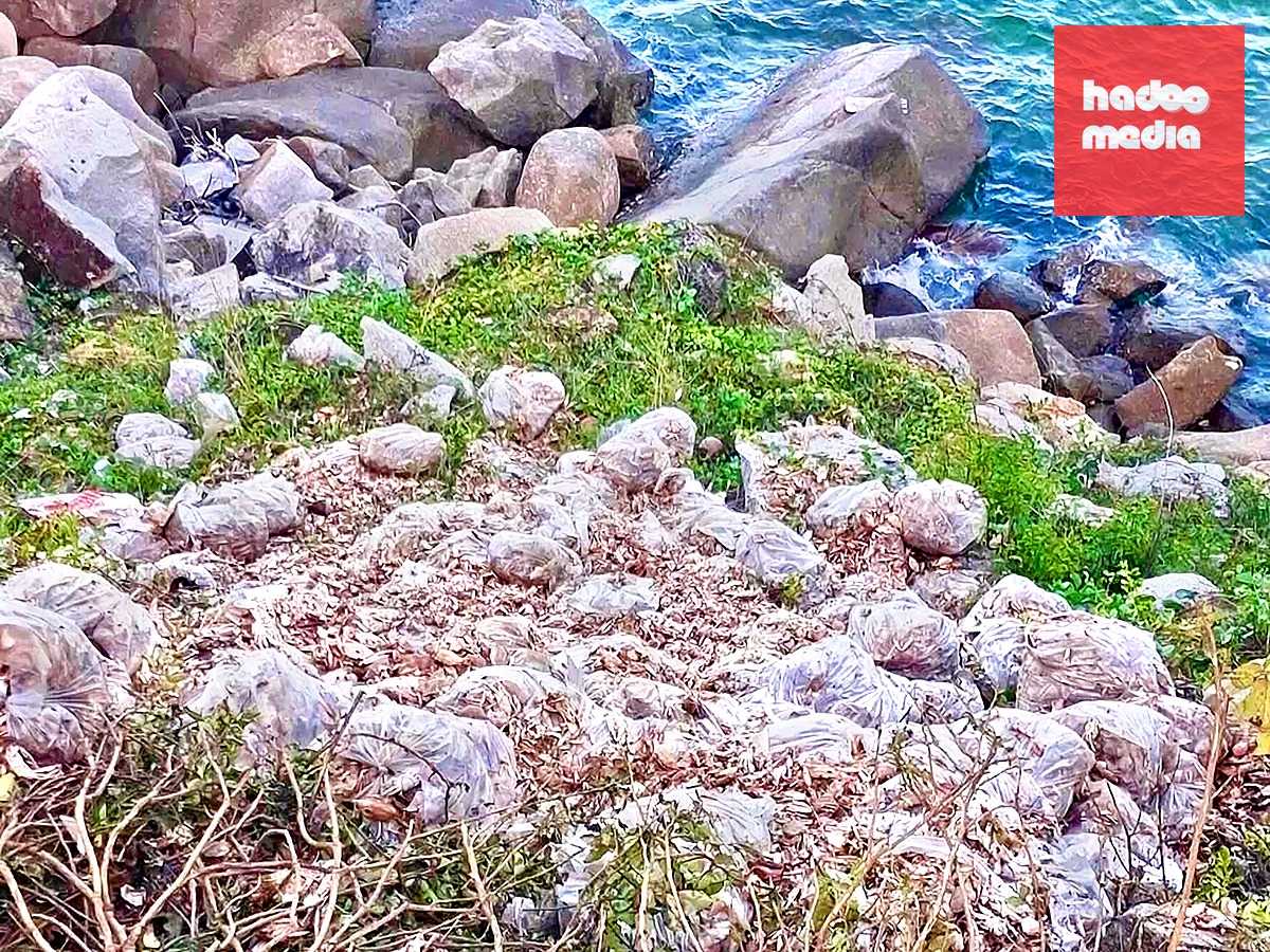 3,8 tấn ghẹ được đổ ra khu vực Bãi Tiên, xã Hòa Xuân - nơi gần các điểm du lịch - Ảnh: Công an xã Hòa Xuân