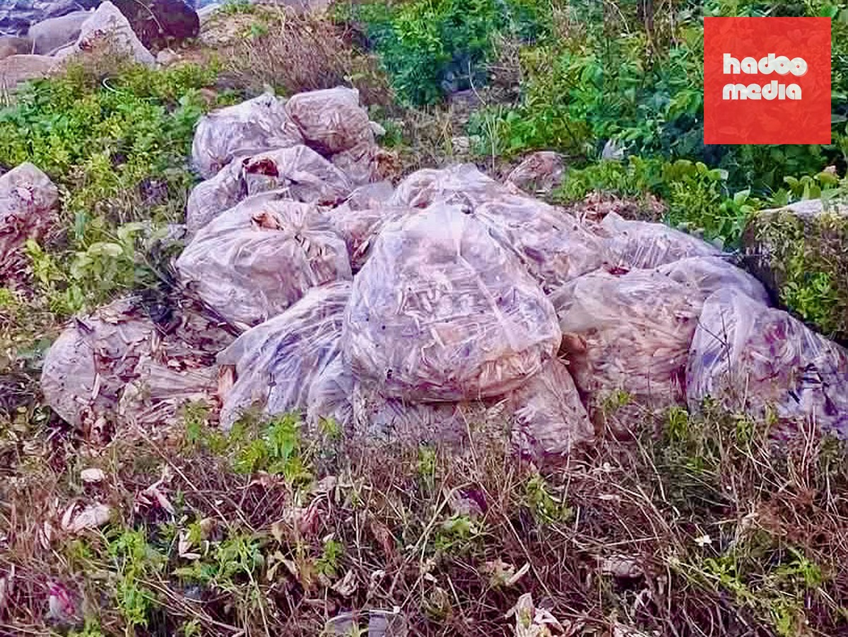 Xác ghẹ chất thành túi lớn trong bao ni lông - Ảnh: Công an xã Hòa Xuân