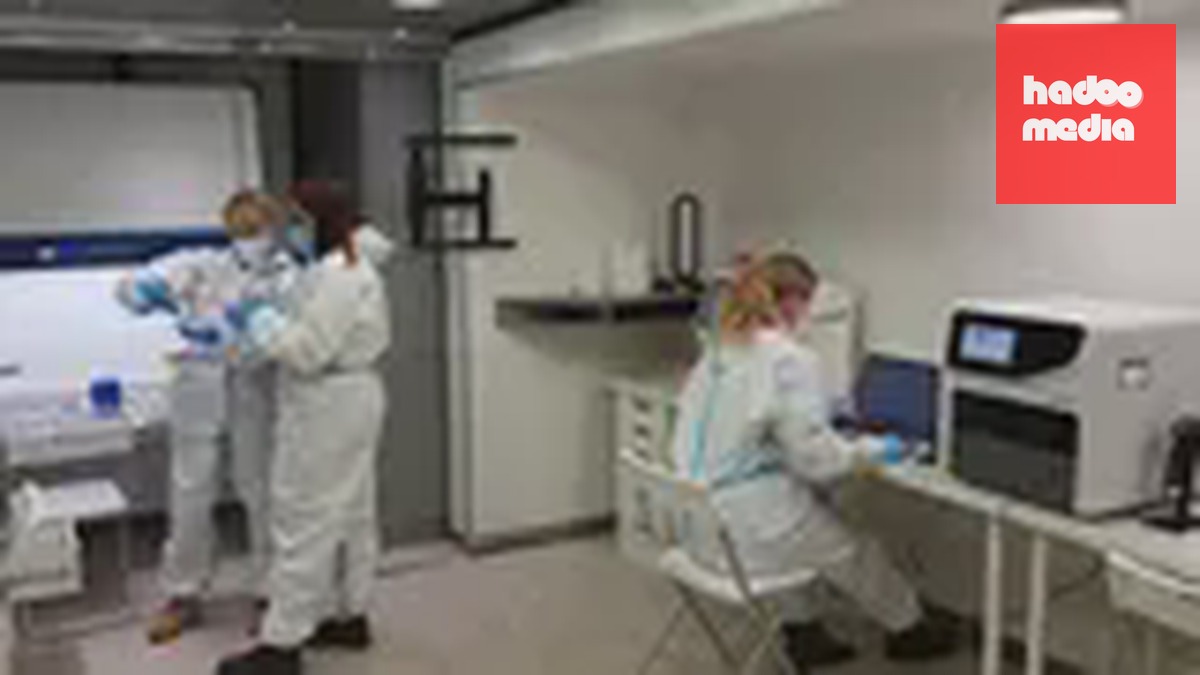 Virus Shamonda lần đầu xuất hiện tại Séc, cảnh báo từ ngành thú y