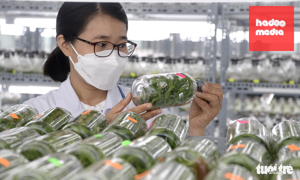 Nông nghiệp công nghệ cao là hướng đi hiệu quả của các quốc gia/vùng lãnh thổ như Trung Quốc, Hàn Quốc và một số vùng nông nghiệp tại Việt Nam - Ảnh minh họa