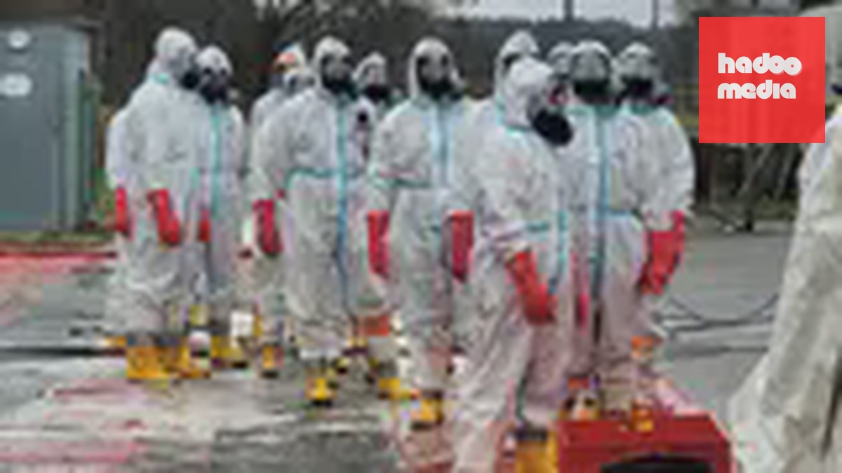 Séc tiêu hủy đàn gà tại Českobudějovicko do nhiễm khuẩn Salmonella