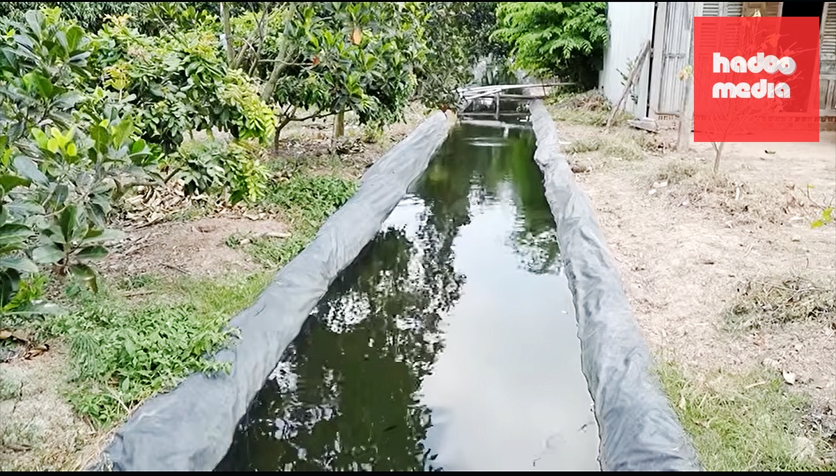 Người dân miền Tây trữ nước ngọt ở các kênh mương nội đồng để chống hạn mặn - Ảnh: TTO