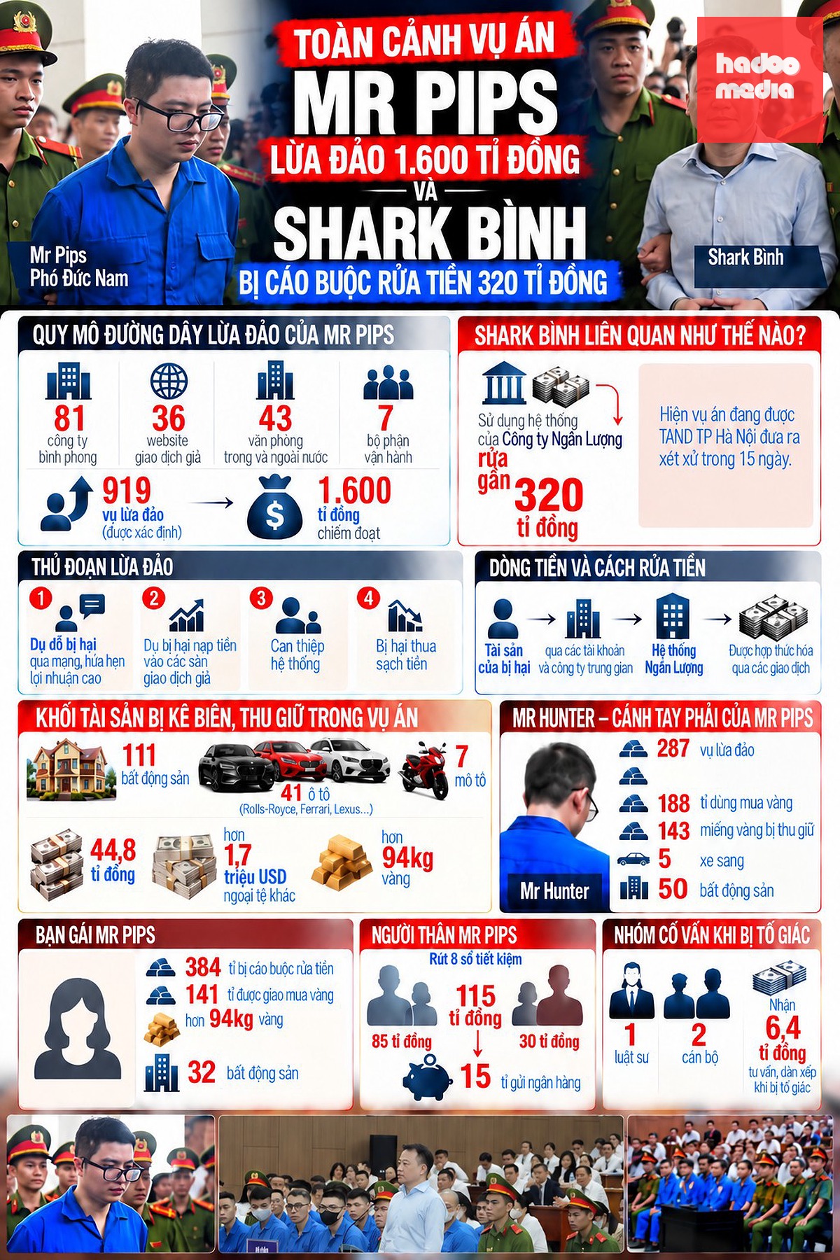 Đồ họa toàn cảnh vụ Mr Pips - Shark Bình - Đồ họa: THÂN HOÀNG