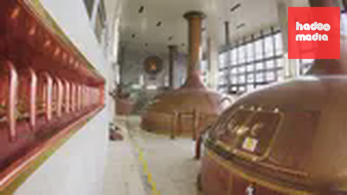 Heineken ngừng sản xuất bia tại Velké Březno sau nhiều năm hoạt động