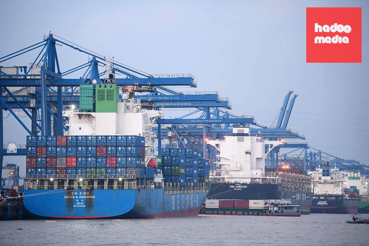 Xuất nhập khẩu hàng hóa tại cảng Cát Lái, TP.HCM - Ảnh: QUANG ĐỊNH