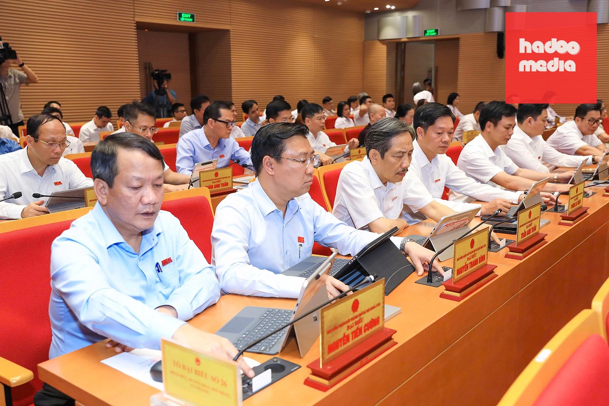 Các đại biểu bấm nút thông qua nghị quyết - Ảnh: VIẾT THÀNH